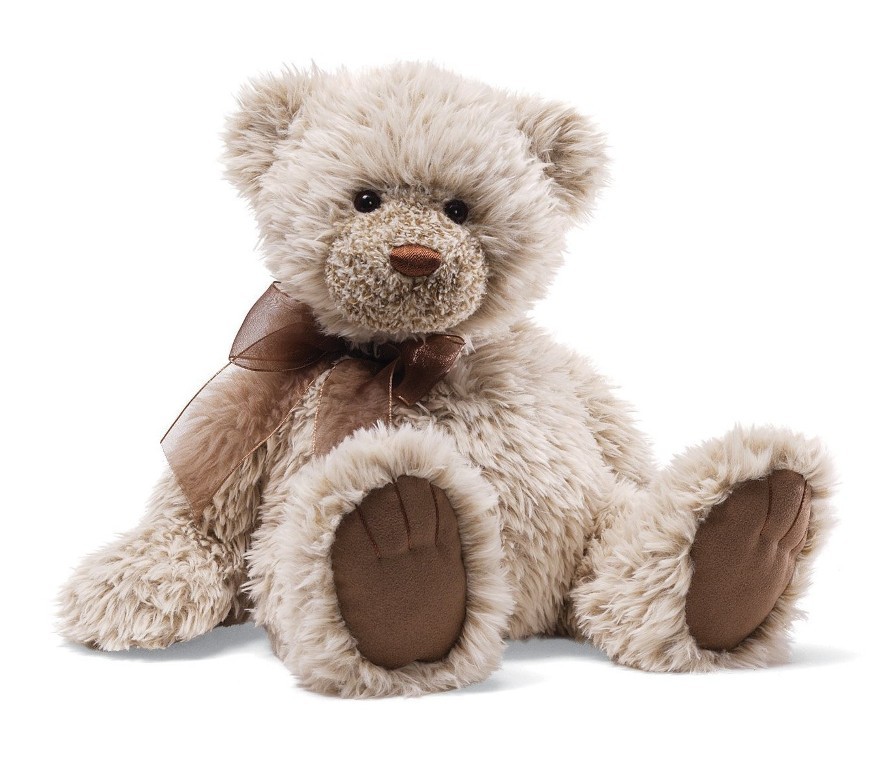 teddy bear (1)