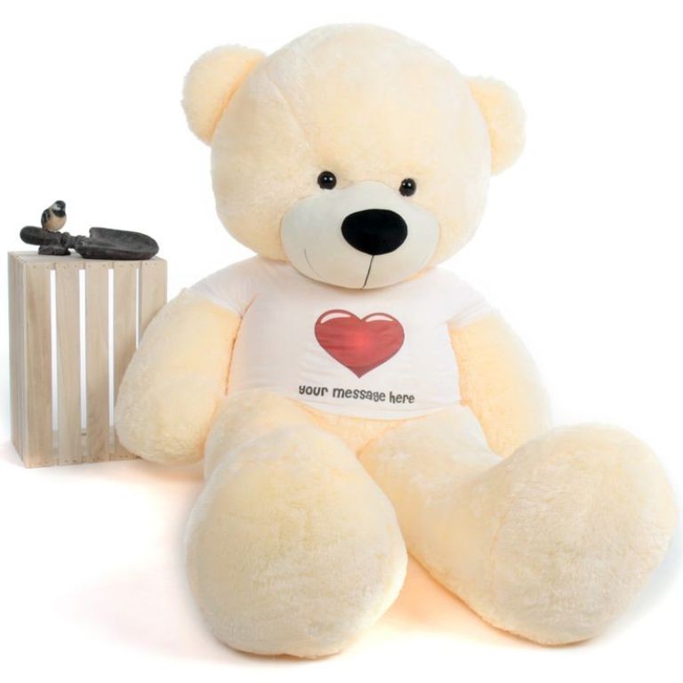 teddy bear (6)