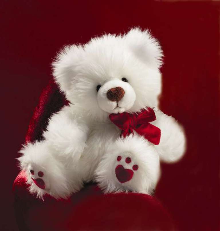 teddy bear