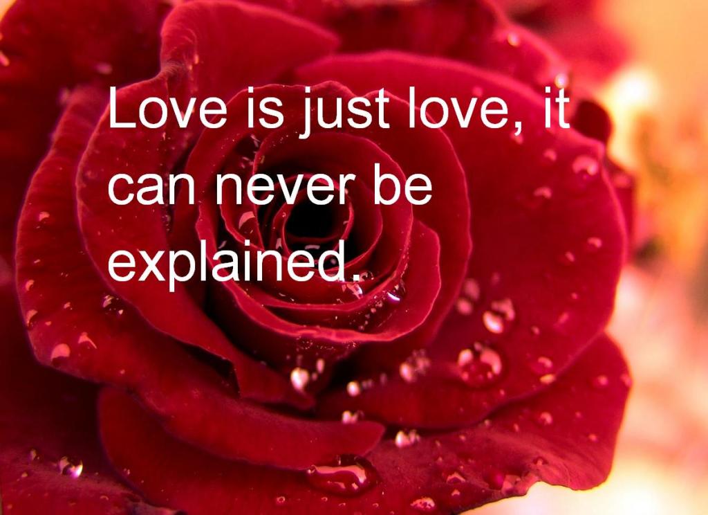 valentines day quotes (7)