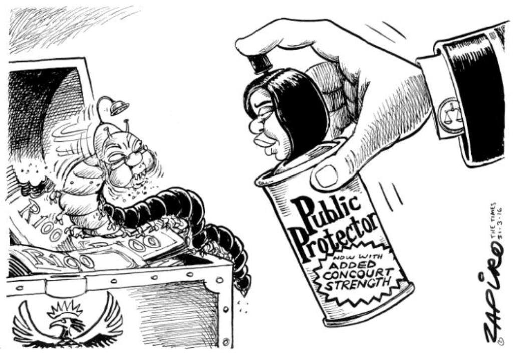 Zapiro (5)