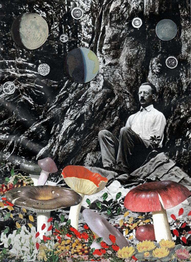 Top 10 Best Collage Artists in The World TopTeny Magazine