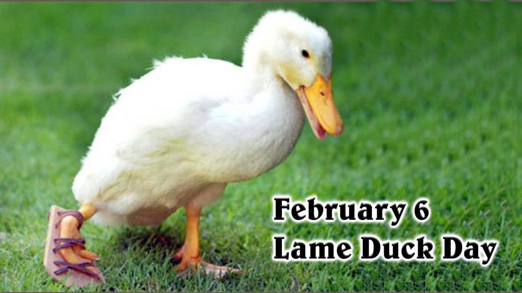 lame-duck-day1