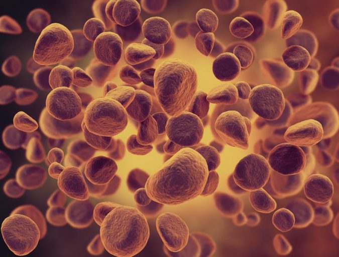 Top 10 Deadliest Cancers You Must Know About TopTeny Magazine