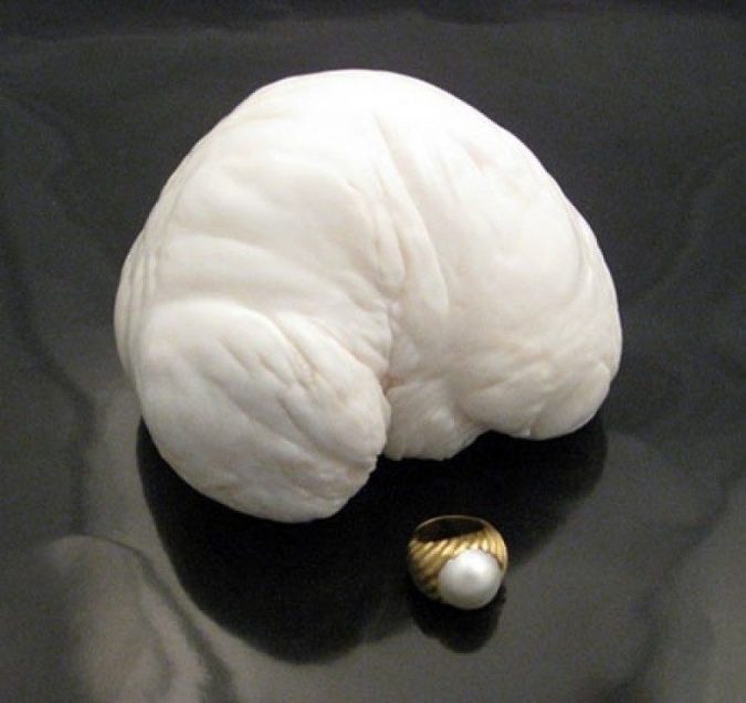 Pearls of Splendor: Unveiling 10 of the World's Most Expensive Pearls