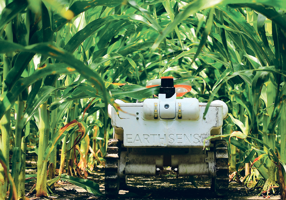 Agri-Tech Revolution: The Role of AI in Transforming Agriculture Robotics