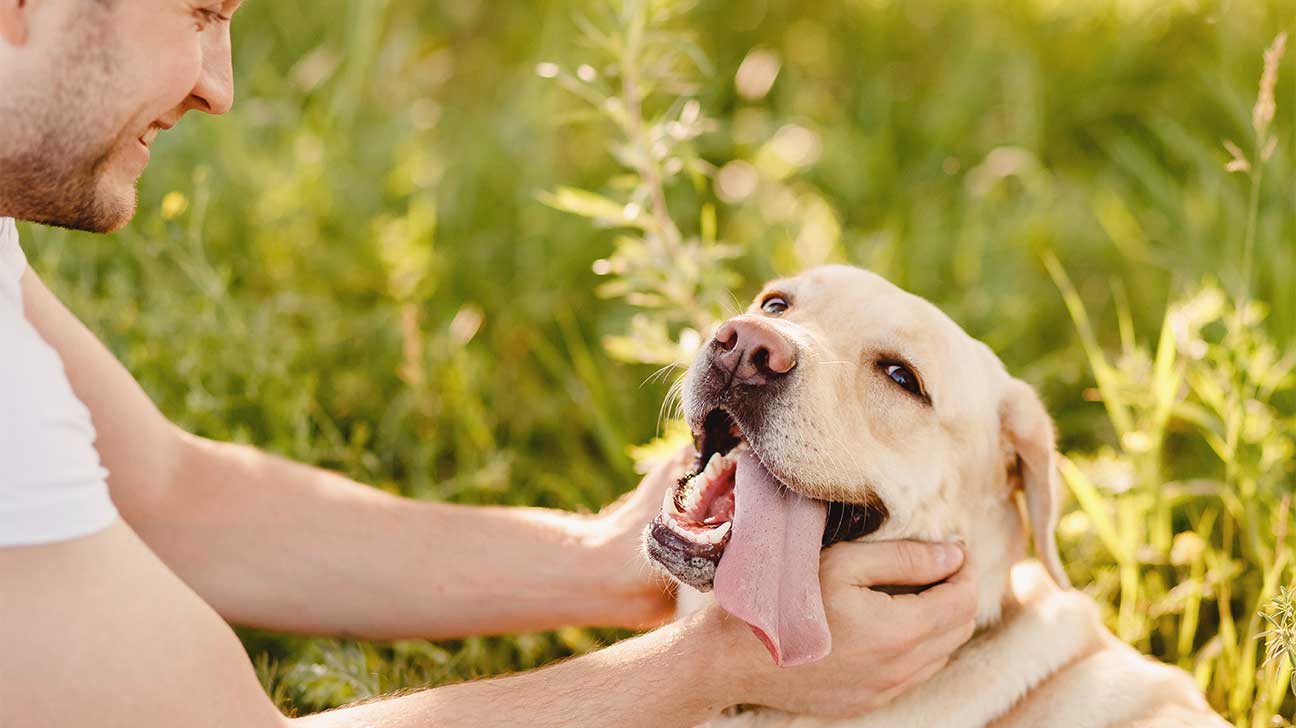 pet friendly rehab center