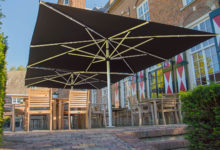 parasol