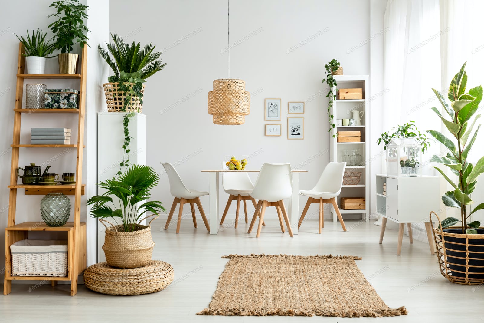 indoor plants
