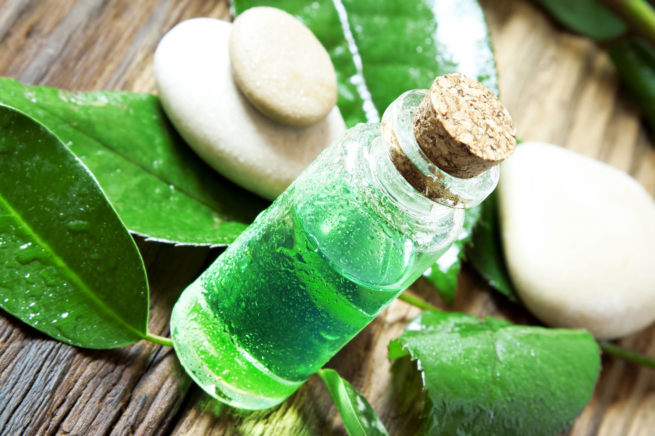 tea tree oil