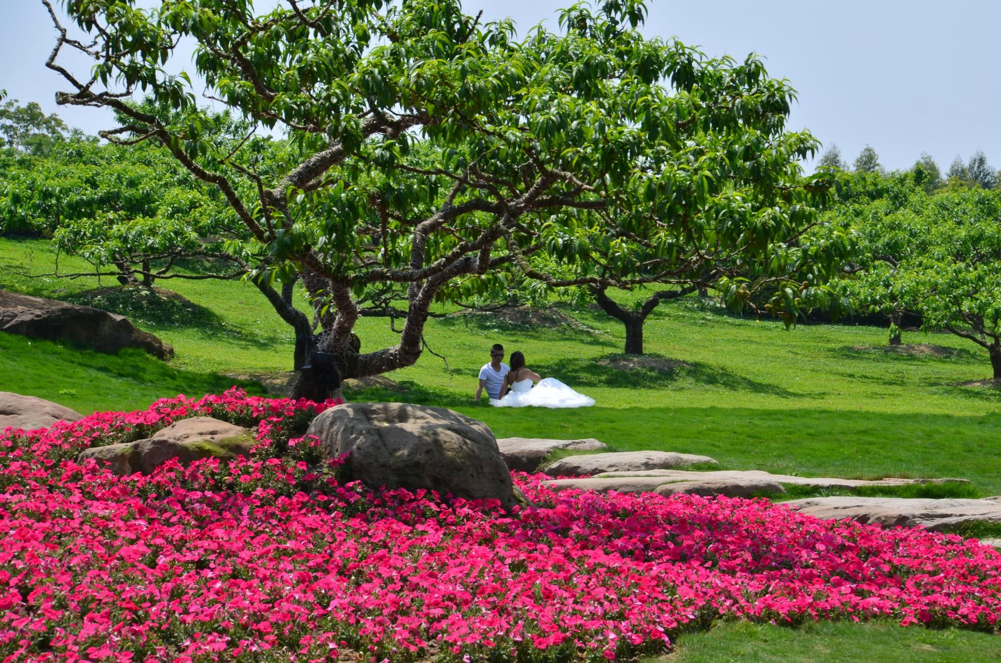botanic gardens in Chengdu, China