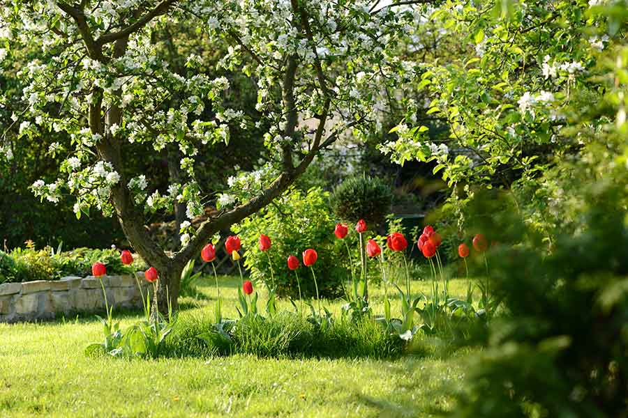 botanic gardens