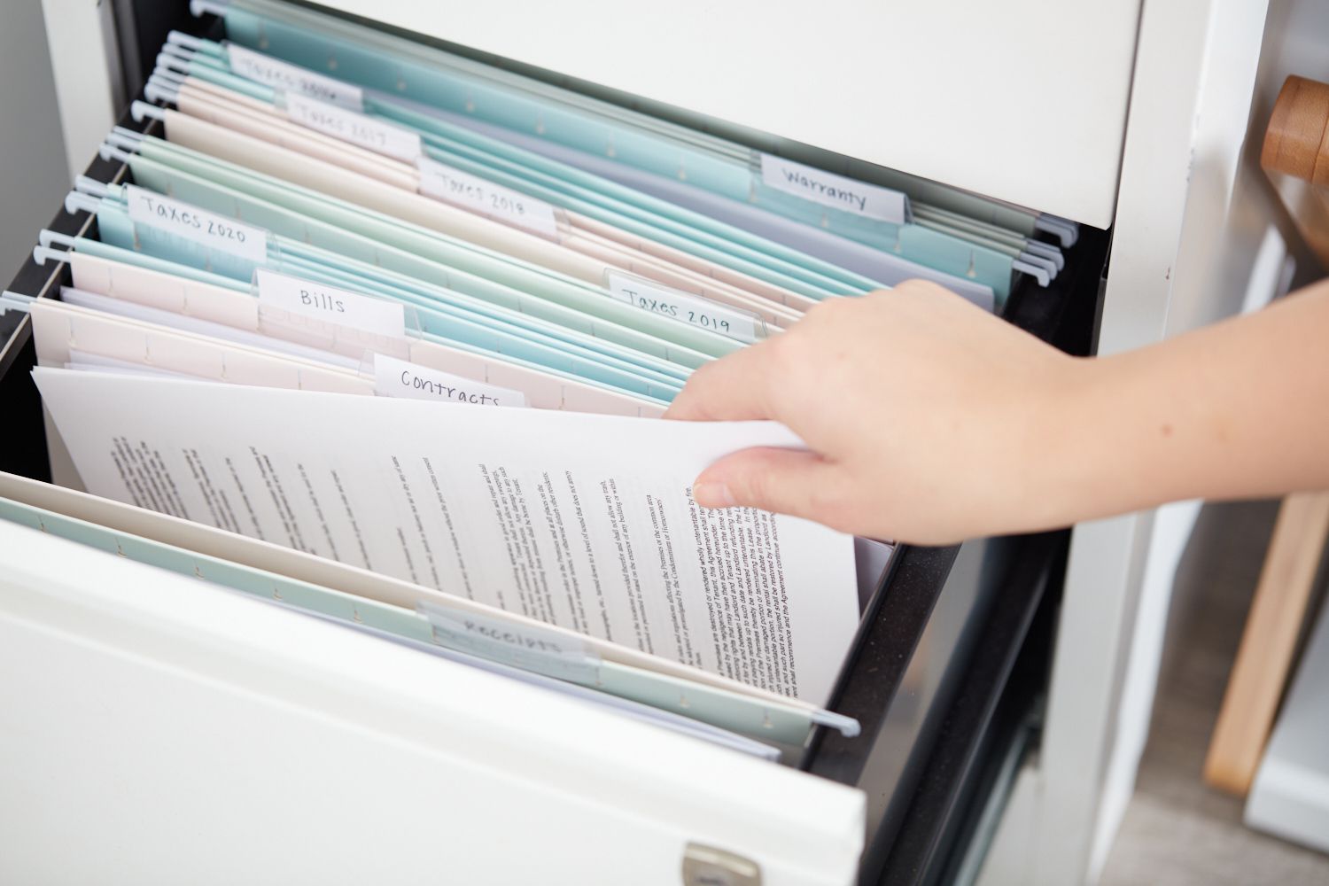 organize the files