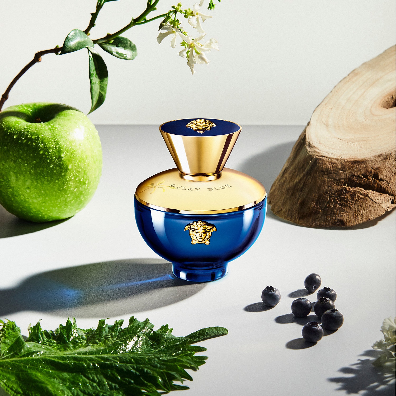 Dylan Blue Pour Femme from Versace