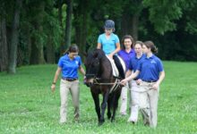 Hippotherapist