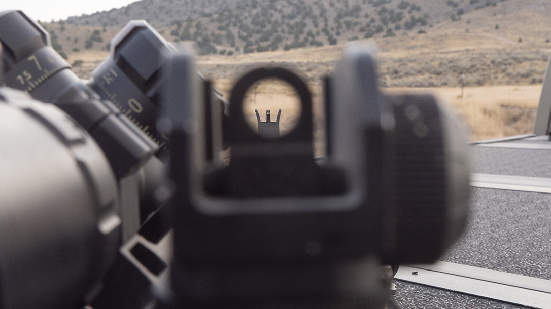 Rifle Iron Sights