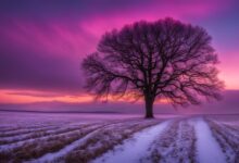 winter photography ideas