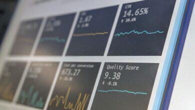 Data Analyst