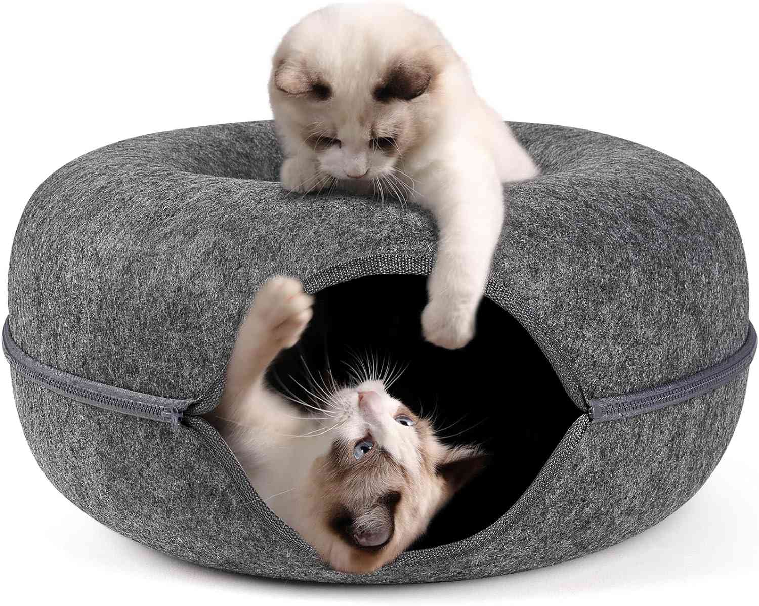 Modern Cat Furniture: Stylish & Perfect for Cat Lovers